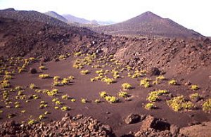 Semi-desert at the south of La Palma island Semi-desert at the south of La Palma island