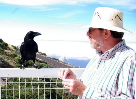 Raven outside the Galileo telescope, Garafía. Raven outside the Galileo telescopey, Garafía.