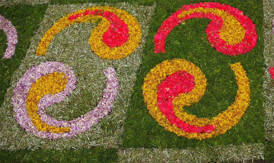 Detail of a Corpus Christi flower carpet, Mazo, La Palma island