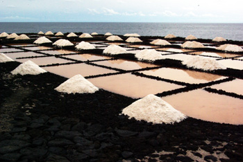 Sea salt being made in Fuencaliente, La Palma island